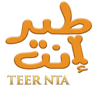 طير أنت